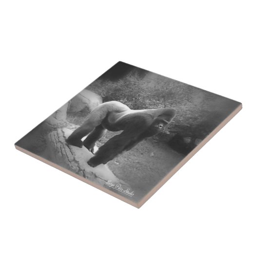 Silveback Gorilla Fliese (Seite)