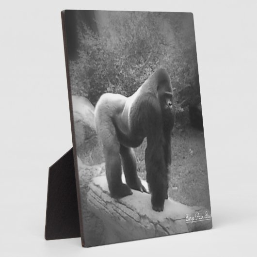 Silveback Gorilla Fotoplatte (Seite)