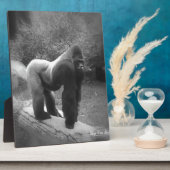 Silveback Gorilla Fotoplatte (Seite)
