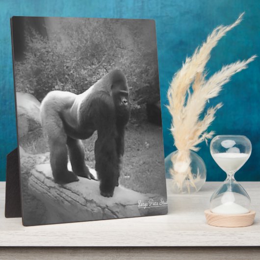 Silveback Gorilla Fotoplatte (Seite)