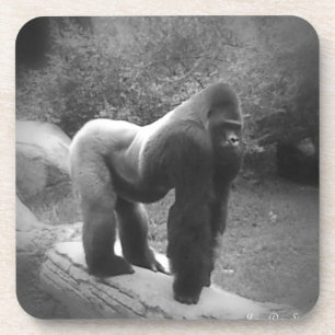 Silveback Gorilla Getränkeuntersetzer