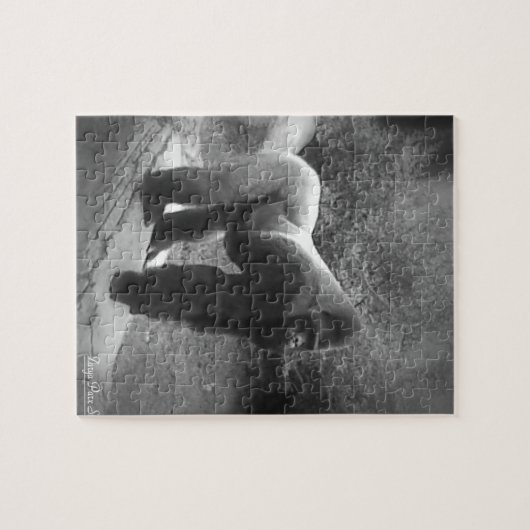 Silveback Gorilla Puzzle (Horizontal)