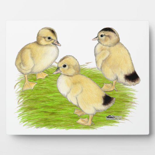 Silver Appleyard Ducklings Fotoplatte (Vorderseite)