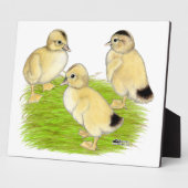 Silver Appleyard Ducklings Fotoplatte (Seite)