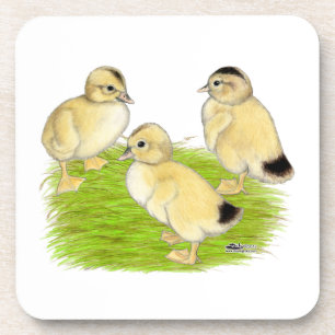 Silver Appleyard Ducklings Getränkeuntersetzer