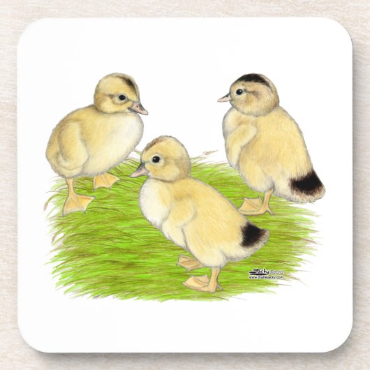 Silver Appleyard Ducklings Getränkeuntersetzer (Vorderseite)
