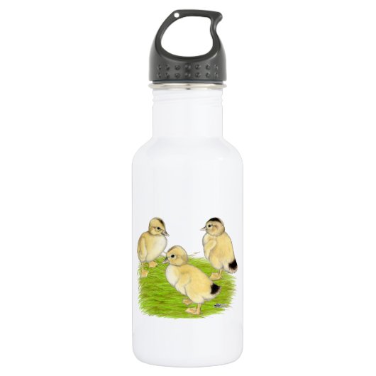 Silver Appleyard Ducklings Trinkflasche (Vorderseite)