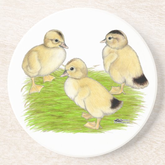 Silver Appleyard Ducklings Untersetzer (Vorne)