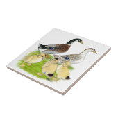 Silver Appleyard Family Fliese (Seite)