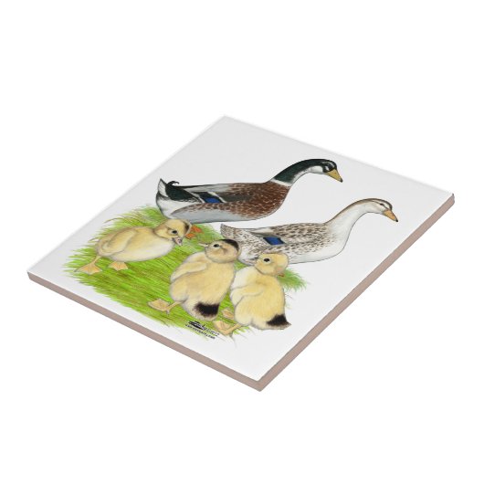 Silver Appleyard Family Fliese (Seite)