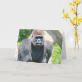 Silver Back Gorilla Karte (Gelbe Blume)