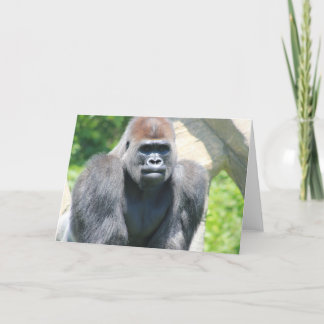 Silver Back Gorilla Karte