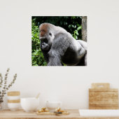 Silver Back Gorilla Poster (Küche)