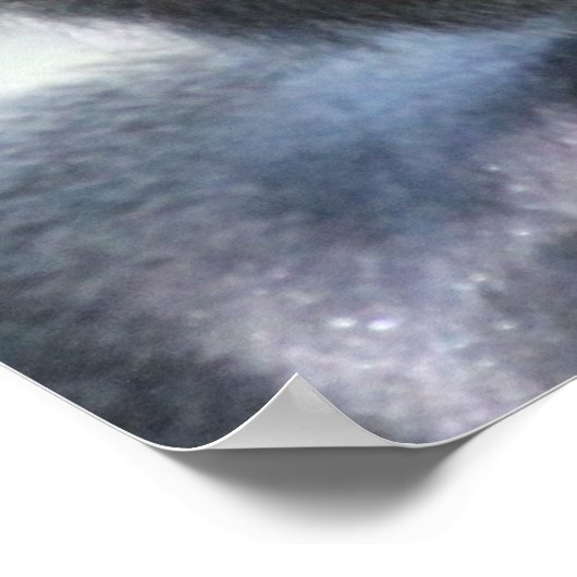 Silver Back Gorilla Poster (Ecke)