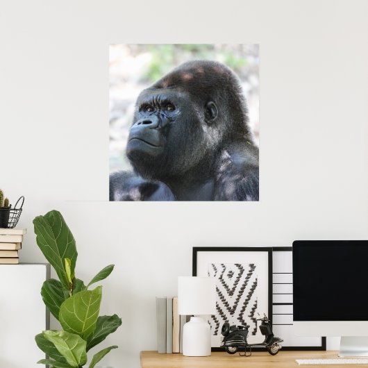 Silver Back Gorilla Poster (Heimbüro)