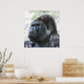 Silver Back Gorilla Poster (Küche)