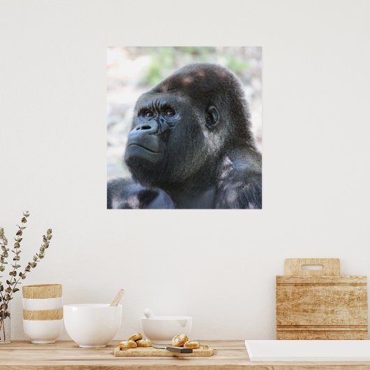Silver Back Gorilla Poster (Küche)