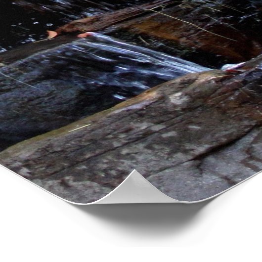 Silver Back Gorilla vermitteln Poster (Ecke)