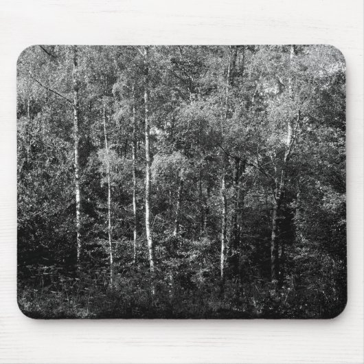 Silver Birch B&W Mousepad (Vorne)