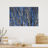Silver Birch Branches Poster (Küche)