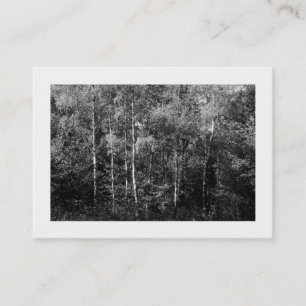 Silver Birch Trees B&W, Mini Foto Visitenkarte