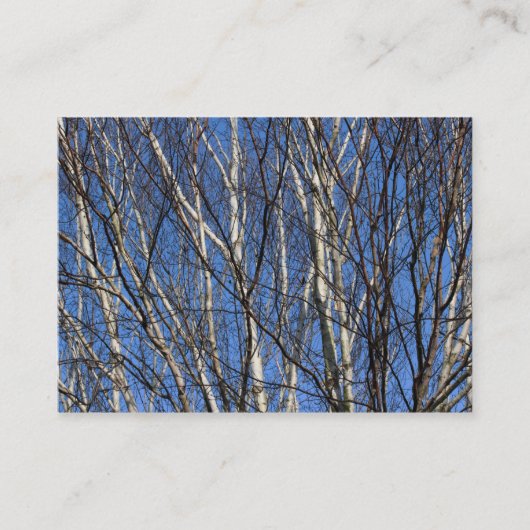 Silver Birch Visitenkarte (Vorderseite)
