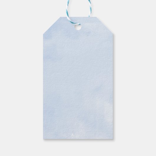 Silver Blue Gown Floral Quinceanera Party Geschenkanhänger (Rückseite)