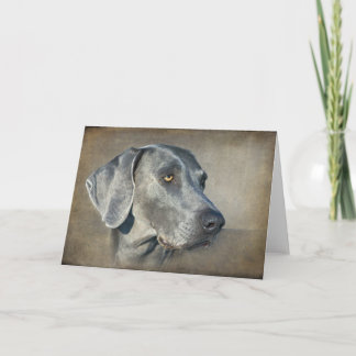 Silver Blue Weimaraner Portrait Karte
