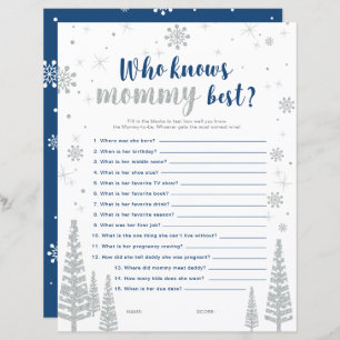 Silver & Blue Winter Wonderland Baby Showspiel