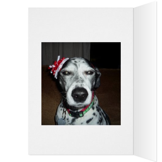 Silver Bulb Reflect (Innen (Links))