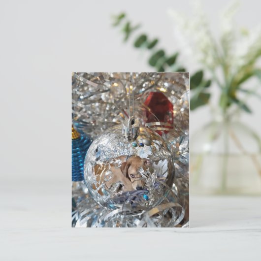 Silver Bulb Reflect Postkarte (Stehend Vorderseite)