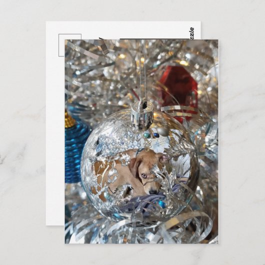 Silver Bulb Reflect Postkarte (Vorne/Hinten)