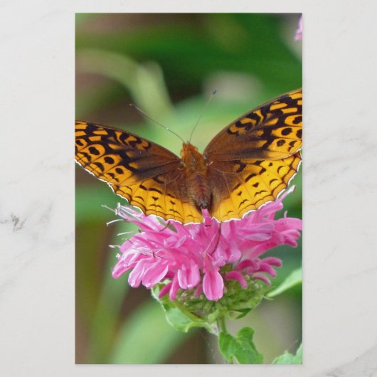 Silver Checkerspot Butterfly Briefpapier (Vorderseite)