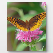 Silver Checkerspot Butterfly Fotoplatte (Vorderseite)