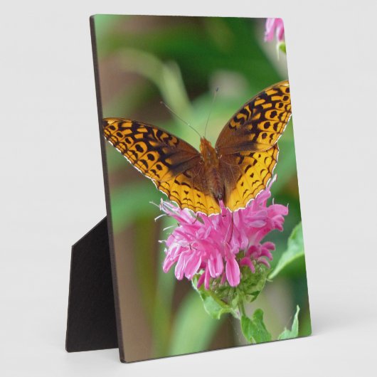 Silver Checkerspot Butterfly Fotoplatte (Seite)