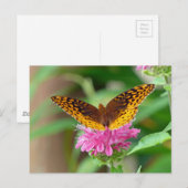 Silver Checkerspot Butterfly Postkarte (Vorne/Hinten)