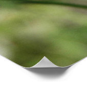 Silver Checkpoint Poster (Ecke)