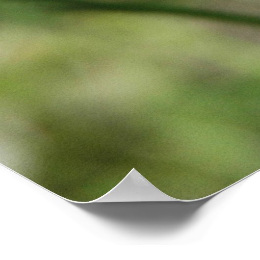 Silver Checkpoint Poster (Ecke)