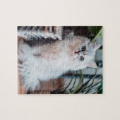 Silver Chinchilla Persian Furry Cat Brown Basket Puzzle (Horizontal)