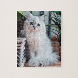 Silver Chinchilla Persian Furry Cat Brown Basket Puzzle