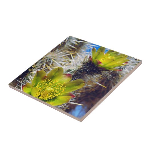 Silver Cholla Cactus Wildblumen Fliese (Seite)