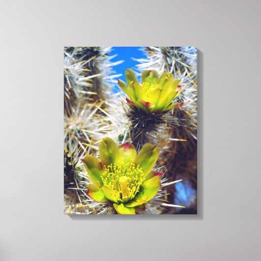 Silver Cholla Cactus Wildblumen Leinwanddruck (Vorderseite)