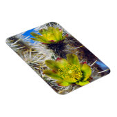 Silver Cholla Cactus Wildblumen Magnet (Rechte Seite)
