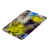 Silver Cholla Cactus Wildblumen Magnet (Linke Seite)