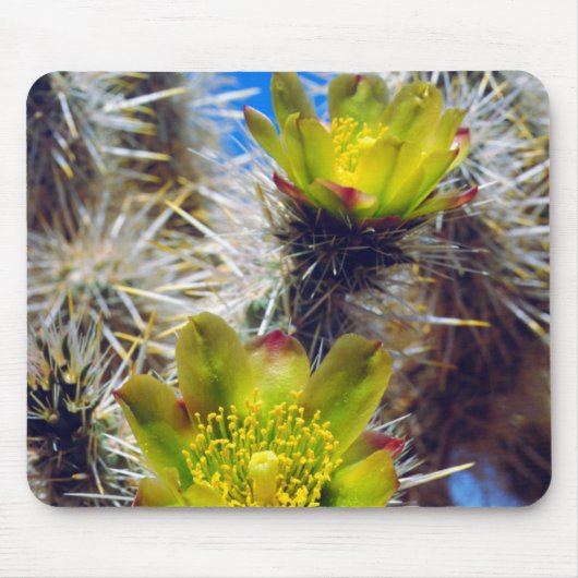 Silver Cholla Cactus Wildblumen Mousepad (Vorne)