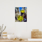 Silver Cholla Cactus Wildblumen Poster (Küche)