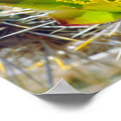 Silver Cholla Cactus Wildblumen Poster (Ecke)