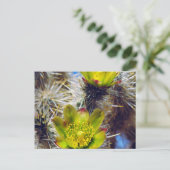 Silver Cholla Cactus Wildblumen Postkarte (Stehend Vorderseite)