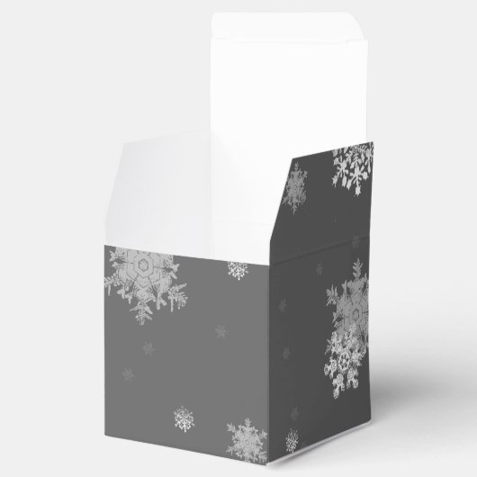 Silver Christmas Ornaments Gefälligkeitsbox Geschenkschachtel (Geöffnet)