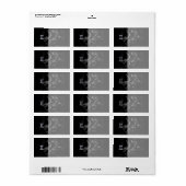 Silver Chrome wie Gemini Zodiac Sign auf Hevelius Adressaufkleber (Vorne)